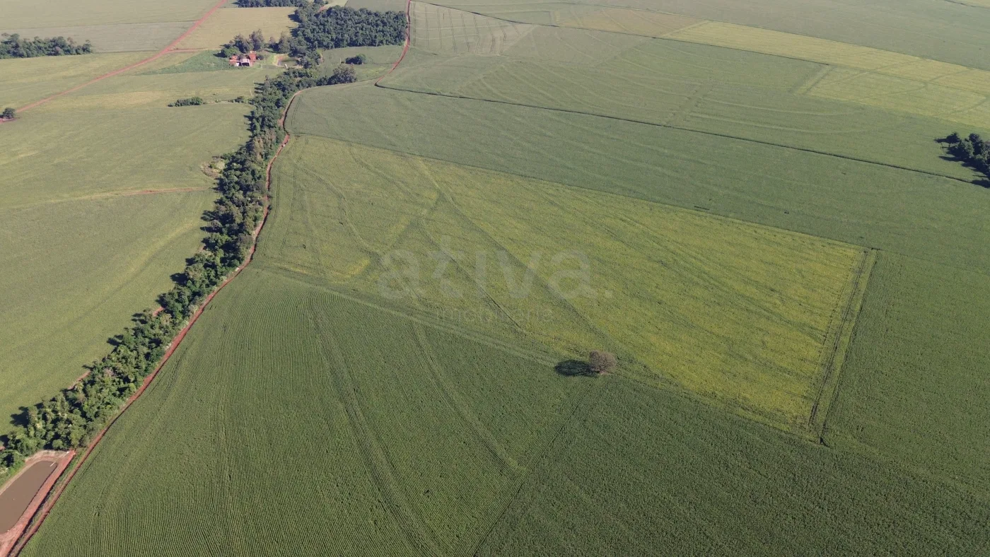 Comprar Rural / S&iacute;tio em Toledo R$ 4.430.000,00 - Foto 5