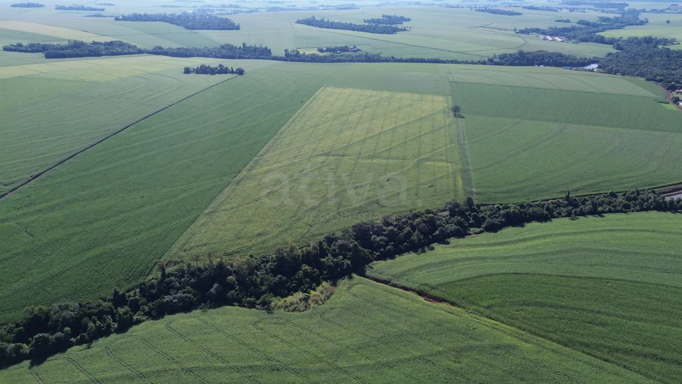 Comprar Rural / S&iacute;tio em Toledo R$ 4.430.000,00 - Foto 6