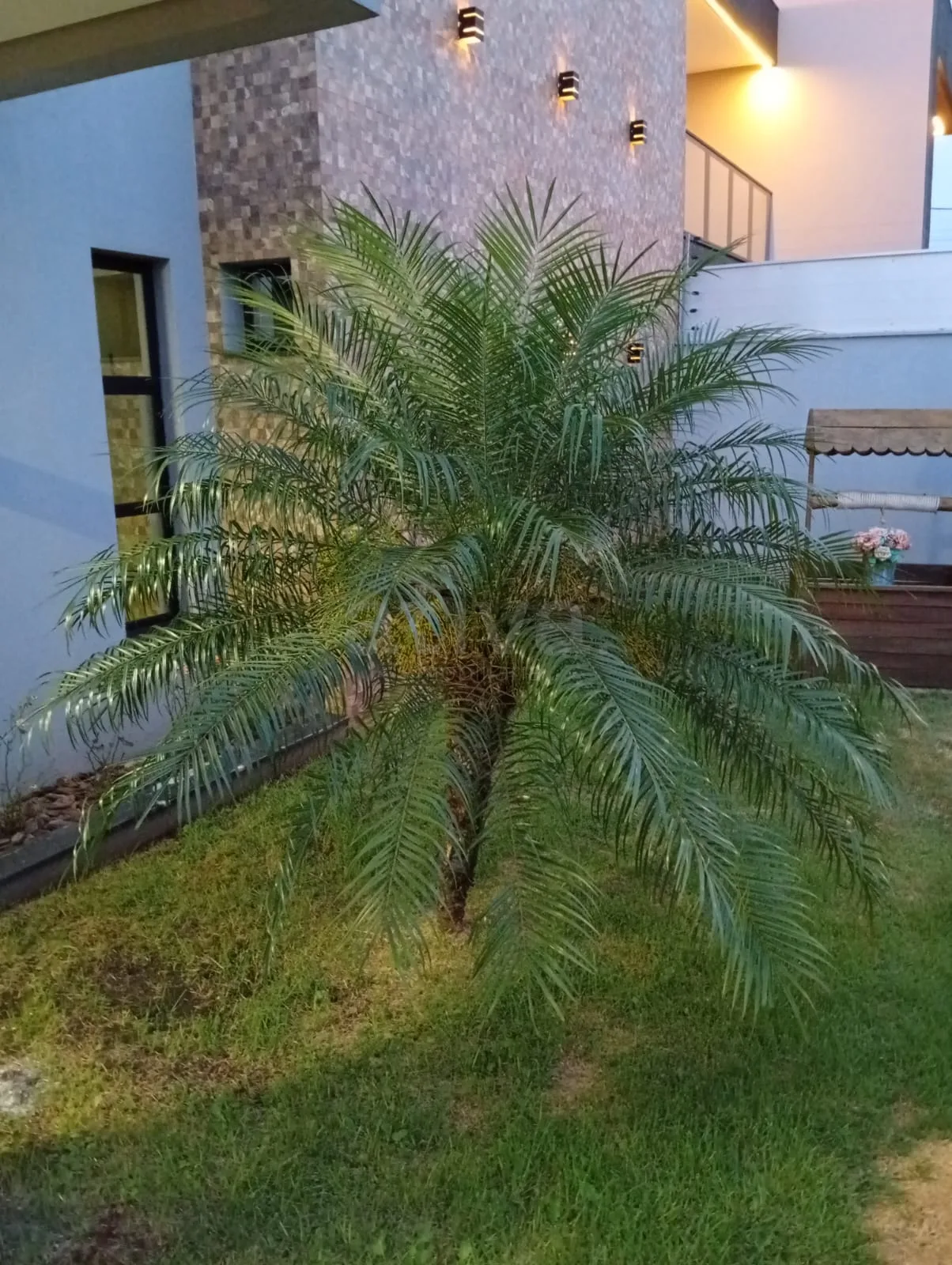 Alugar Casa / Padr&atilde;o em Toledo R$ 6.900,00 - Foto 30