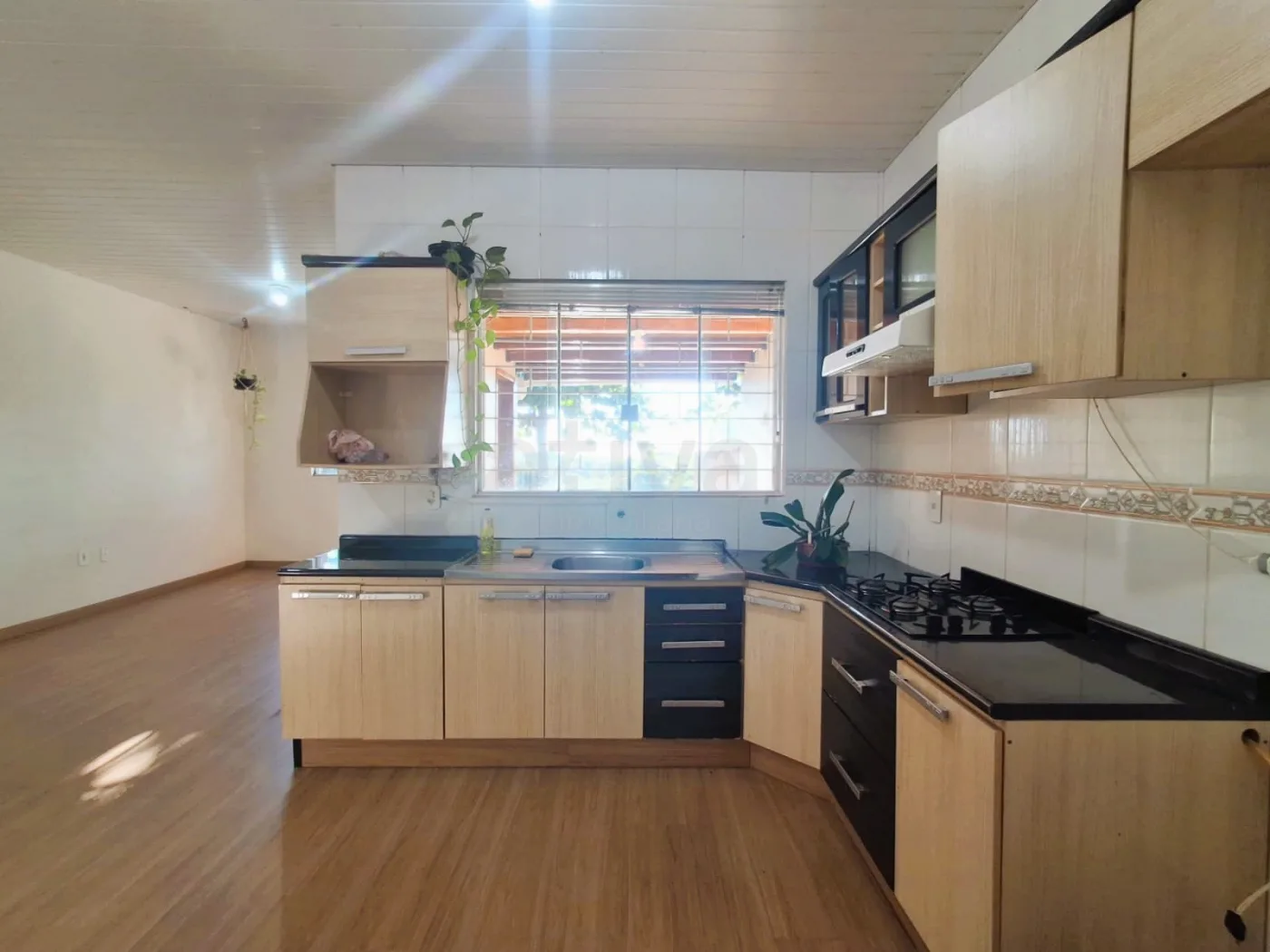 Alugar Casa / Padr&atilde;o em Toledo R$ 2.200,00 - Foto 4