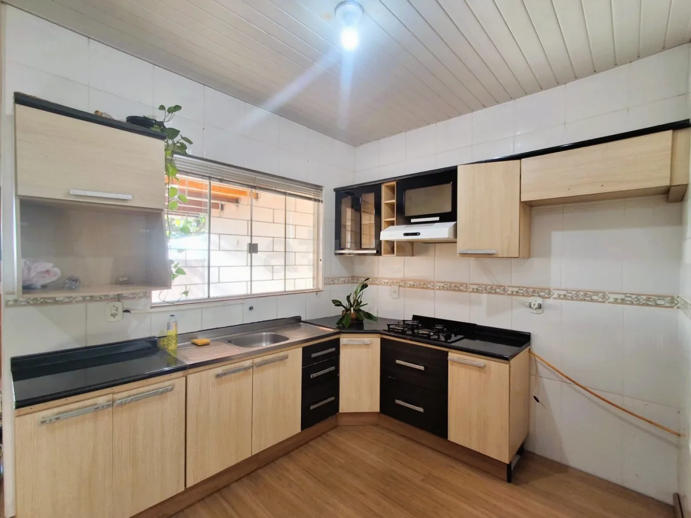 Alugar Casa / Padr&atilde;o em Toledo R$ 2.200,00 - Foto 5
