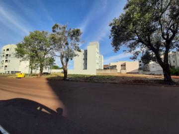 Toledo Jardim La Salle terreno Venda R$800.000,00  Area do terreno 497.25m2 