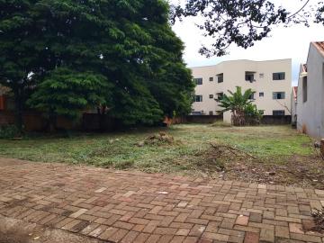 Toledo Jardim Santa Maria terreno Venda R$500.000,00  Area do terreno 464.40m2 