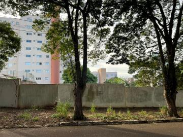 Toledo Jardim La Salle terreno Venda R$1.850.000,00  Area do terreno 1000.00m2 