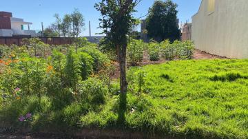 Toledo Jardim Gisela terreno Venda R$460.000,00  Area do terreno 680.42m2 
