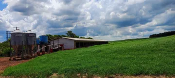 Toledo Jardim Independencia Rural Venda R$2.000.000,00  Area do terreno 26000.00m2 