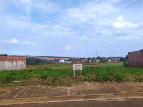 Toledo Jardim Panorama terreno Venda R$147.000,00  Area do terreno 250.00m2 