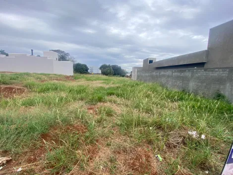 Toledo Jardim Pancera terreno Venda R$450.000,00  Area do terreno 402.72m2 