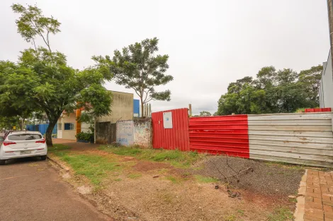 Toledo Jardim La Salle terreno Locacao R$ 2.700,00  Area do terreno 588.00m2 