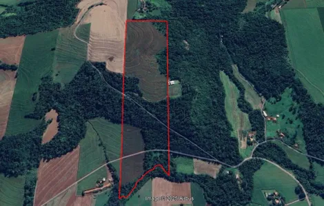Toledo Dez De Maio (Distrito de Toledo) Rural Venda R$2.520.000,00  Area do terreno 242000.00m2 