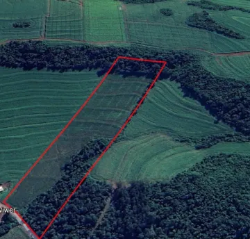 Toledo Cerro Da Lola (Distrito de Toledo) Rural Venda R$950.000,00  Area do terreno 57075.00m2 