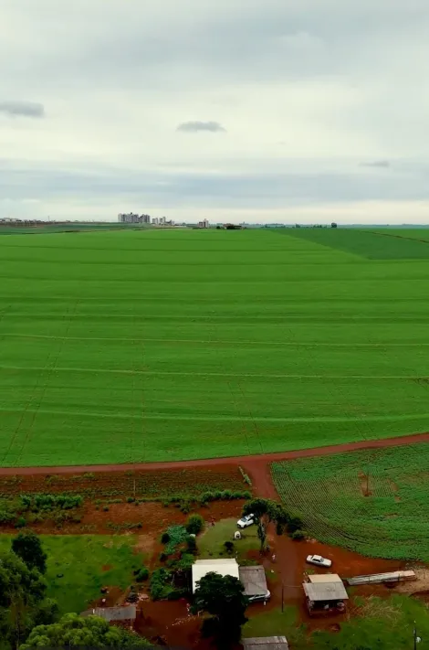 Toledo Boa Vista (Distrito de Toledo) Rural Venda R$1.800.000,00  Area do terreno 76825.00m2 