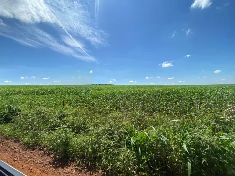 Toledo Area Rural de Toledo Rural Venda R$1.500.000,00  Area do terreno 5000.00m2 