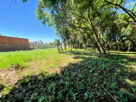 Toledo Jardim Pancera terreno Venda R$900.000,00  Area do terreno 1312.50m2 