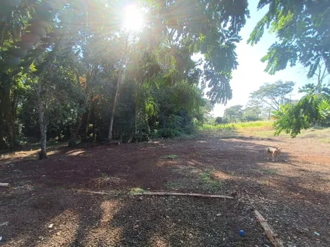 Toledo Jardim Tocantins Rural Venda R$1.400.000,00  Area do terreno 3000.00m2 