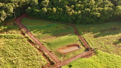 Toledo Area Rural de Toledo Rural Venda R$380.000,00  Area do terreno 20000.00m2 