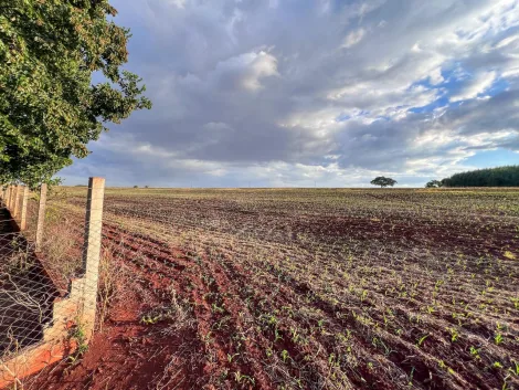Toledo Novo Sobradinho (Distrito de Toledo) Rural Venda R$3.990.000,00  Area do terreno 213700.00m2 