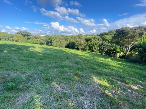 Toledo Centro Rural Venda R$1.856.500,00  Area do terreno 3950.00m2 