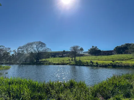 Toledo Area Rural de Toledo Rural Venda R$1.790.000,00  Area do terreno 18807.50m2 
