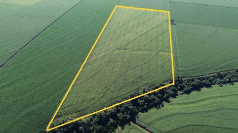 Toledo Novo Sarandi (Distrito de Toledo) Rural Venda R$4.430.000,00  Area do terreno 170133.33m2 