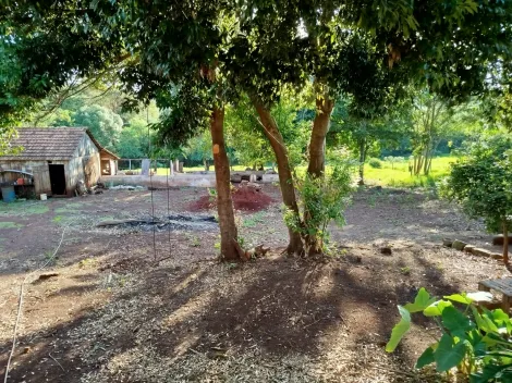 Toledo Dois Irmaos (Distrito de Toledo) Rural Venda R$650.000,00  Area do terreno 24000.00m2 