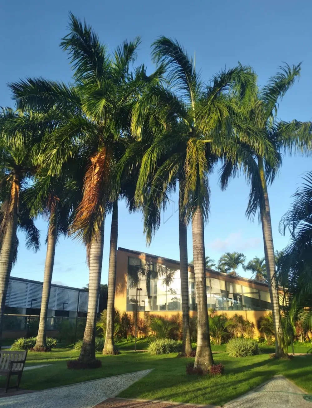 Comprar Casa / Condom&iacute;nio em Jo&atilde;o Pessoa R$ 3.800.000,00 - Foto 1