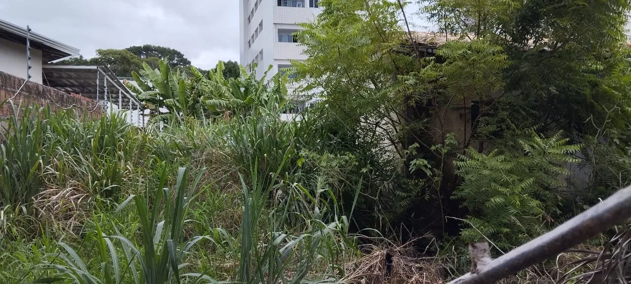 Comprar Terreno / Padr&atilde;o em Jo&atilde;o Pessoa R$ 560.000,00 - Foto 3