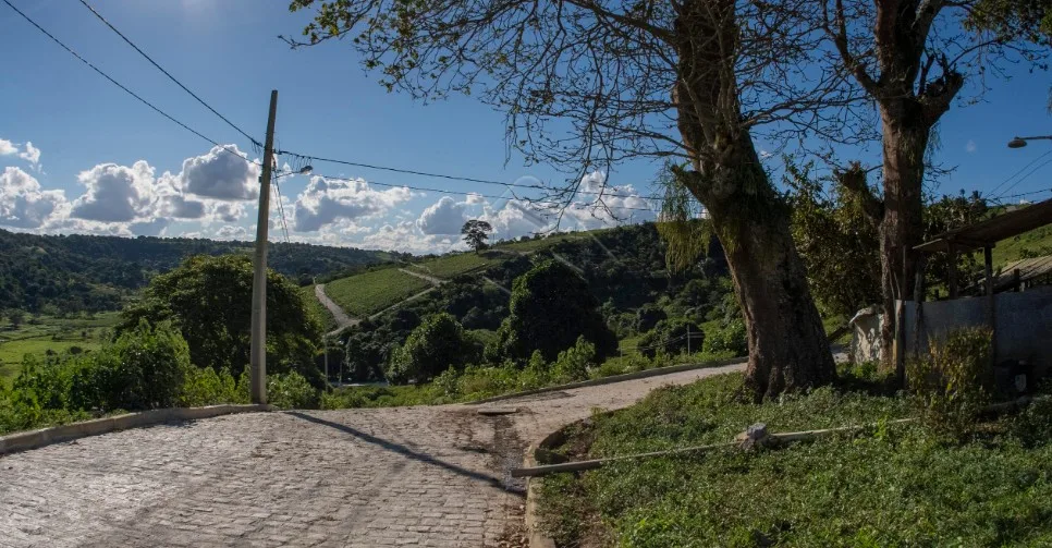 Comprar Terreno / Condom&iacute;nio em Sol&acirc;nea R$ 70.000,00 - Foto 2