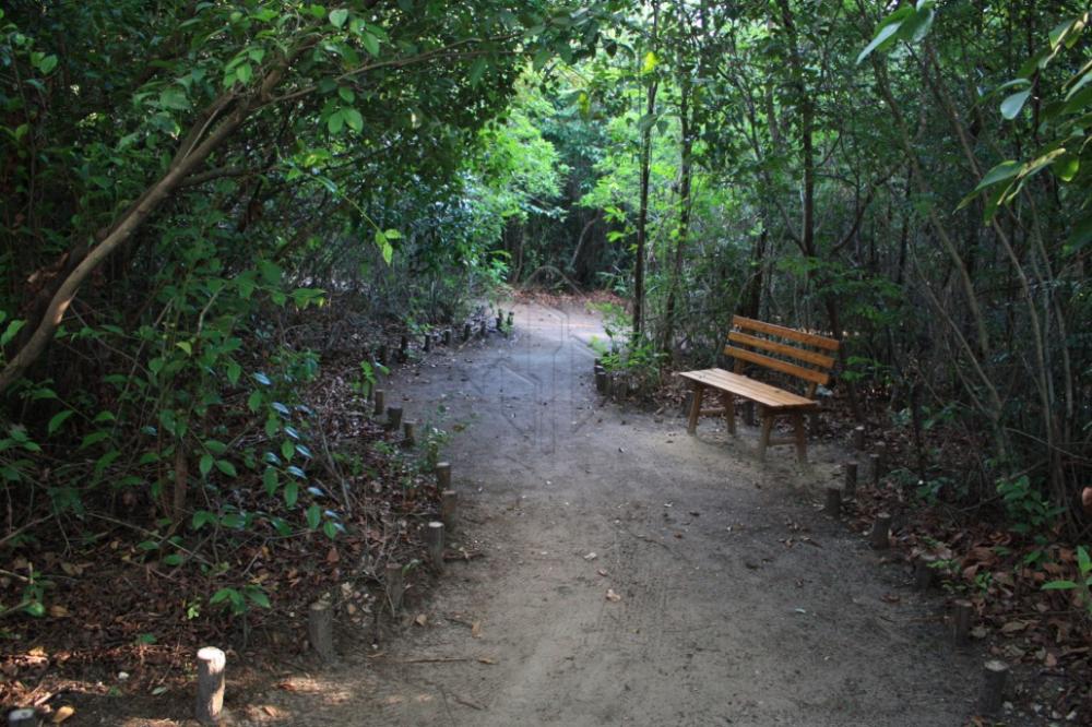 Comprar Casa / Condom&iacute;nio em Jo&atilde;o Pessoa R$ 3.300.000,00 - Foto 9