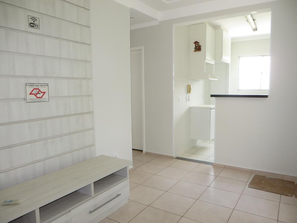 Alugar Residencial / Apartamento em Piracicaba R$ 1.300,00 - Foto 2