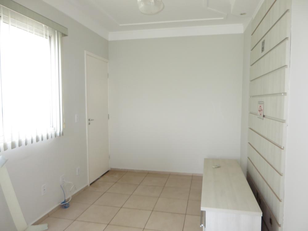 Alugar Residencial / Apartamento em Piracicaba R$ 1.300,00 - Foto 3