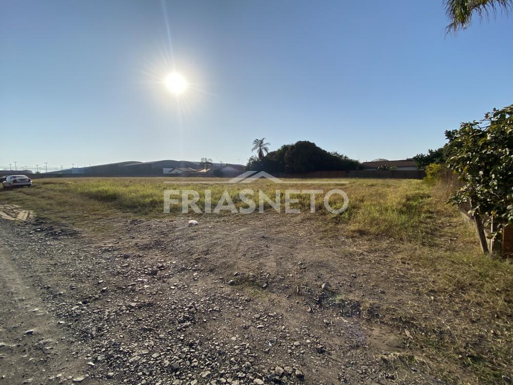 Alugar Residencial / Terreno em Piracicaba R$ 3.500,00 - Foto 1