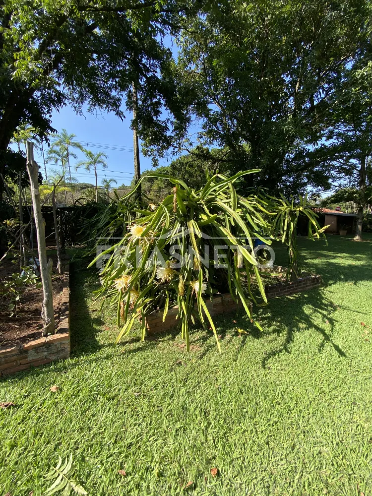 Alugar Residencial / Ch&aacute;cara em Piracicaba R$ 15.000,00 - Foto 114