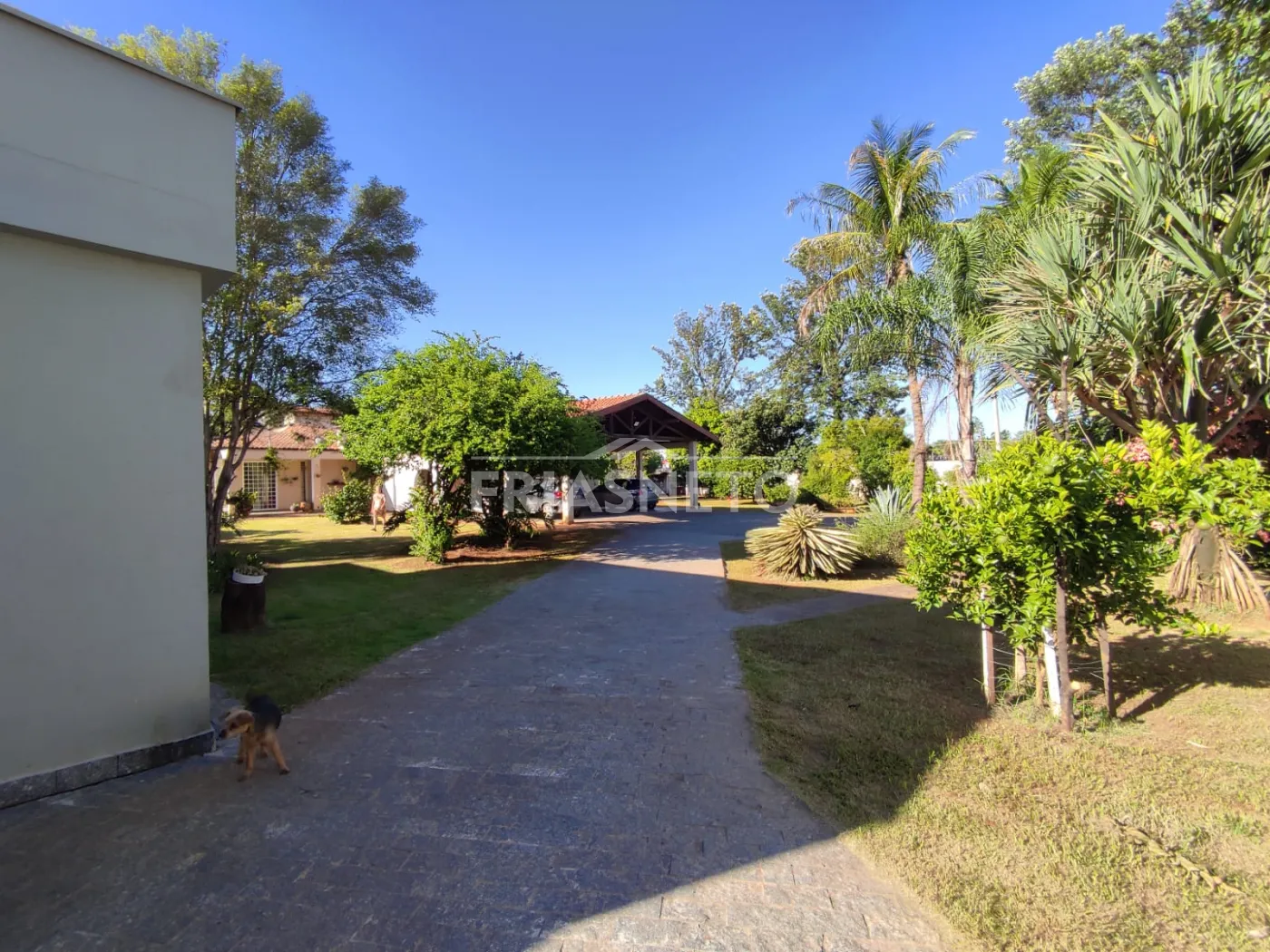 Alugar Residencial / Ch&aacute;cara em Piracicaba R$ 15.000,00 - Foto 5