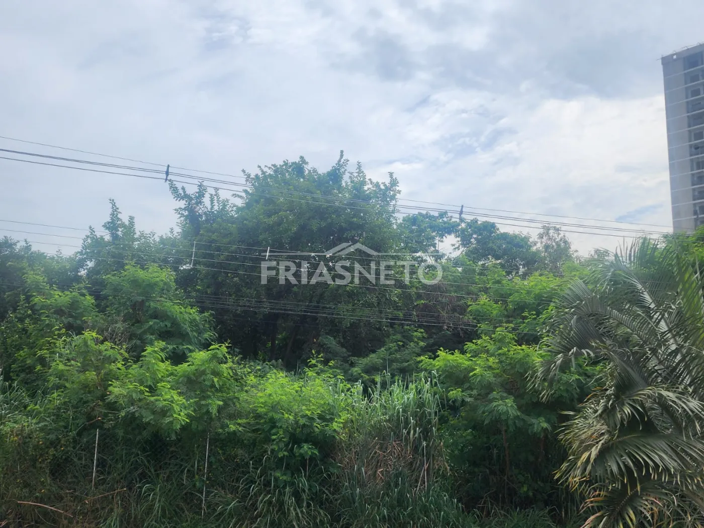 Alugar Residencial / Apartamento em Piracicaba R$ 1.000,00 - Foto 14