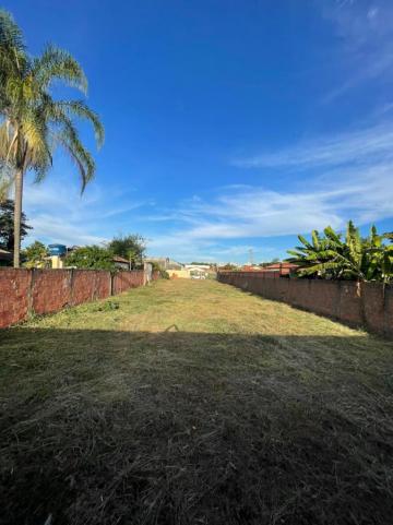 Piracicaba Dois Corregos Terreno Venda R$550.000,00  Area do terreno 828.90m2 