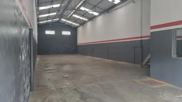 Piracicaba Pauliceia Galpao Venda R$790.000,00  Area do terreno 224.00m2 Area construida 263.00m2