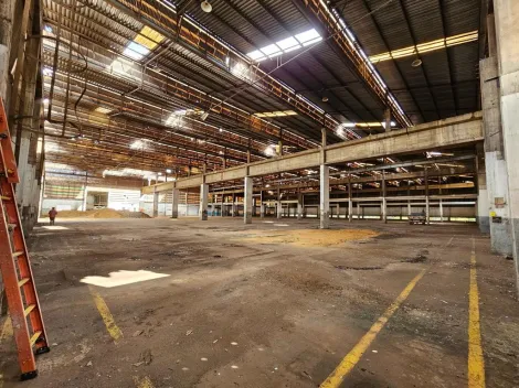 Piracicaba Vila Industrial Galpao Venda R$48.000.000,00  Area do terreno 47098.46m2 Area construida 22535.00m2