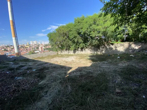 Piracicaba Pauliceia Area Locacao R$ 4.500,00 