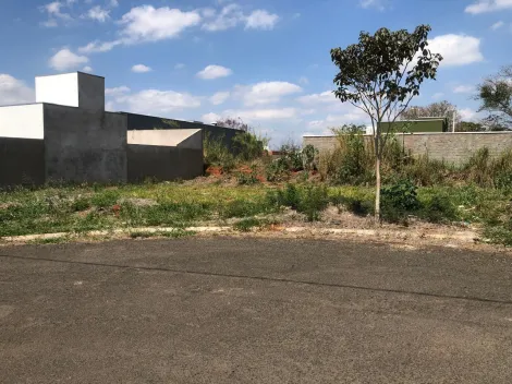 Piracicaba Campestre Terreno Venda R$321.700,00  Area do terreno 459.54m2 