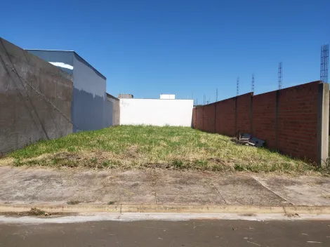 Piracicaba Jardim Sao Francisco Terreno Locacao R$ 1.500,00  Area do terreno 250.00m2 