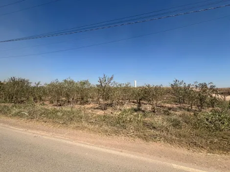 Piracicaba Santa Terezinha Area Locacao R$ 7.500,00  Area do terreno 7123.23m2 