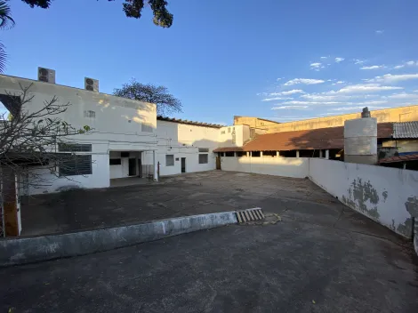 Piracicaba Areiao comercial Locacao R$ 8.500,00  20 Vagas Area do terreno 1000.00m2 