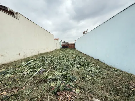 Piracicaba Jardim Pacaembu Terreno Venda R$110.000,00  Area do terreno 175.00m2 
