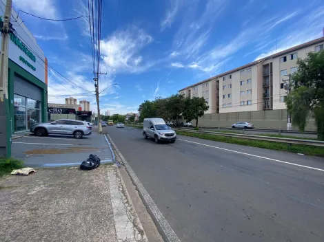 Piracicaba Pauliceia comercial Locacao R$ 4.500,00  50 Vagas Area do terreno 501.20m2 