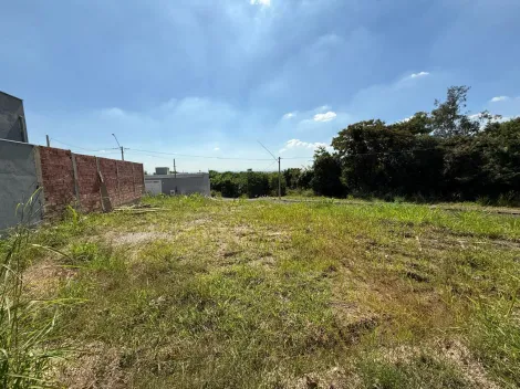 Piracicaba Campestre Terreno Venda R$240.000,00  Area do terreno 435.00m2 