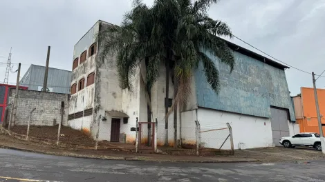 Piracicaba Santa Rosa Ipes Galpao Locacao R$ 8.500,00  6 Vagas Area do terreno 674.00m2 Area construida 503.75m2