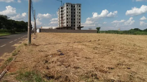 Piracicaba Agua Branca Terreno Locacao R$ 5.000,00  Area do terreno 3000.00m2 