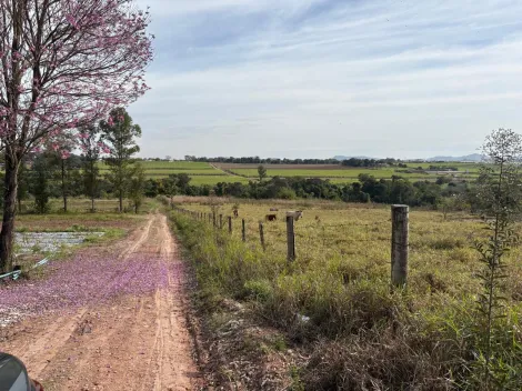 Piracicaba Campestre Area Venda R$950.000,00  Area do terreno 23312.56m2 