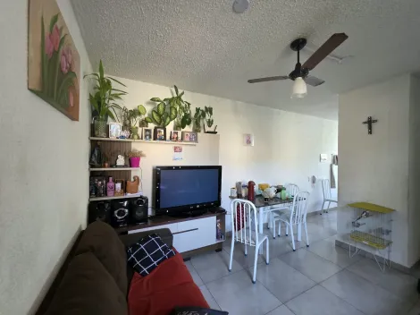 Piracicaba Vila Sonia Apartamento Venda R$130.000,00 Condominio R$150,00 2 Dormitorios 1 Vaga 